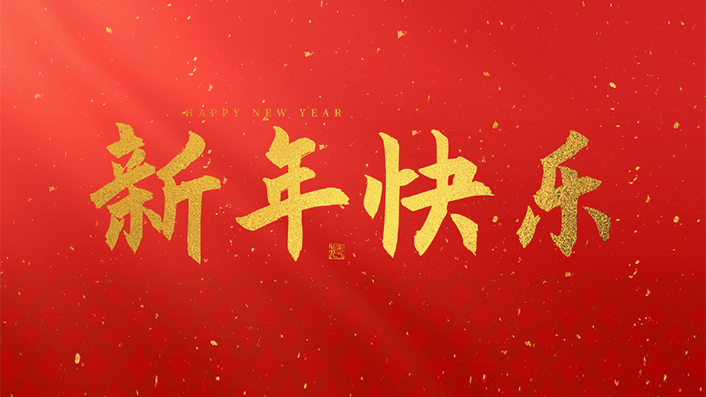 麗水市威儀自動化技術(shù)有限公司祝全國人民2025新年快樂！